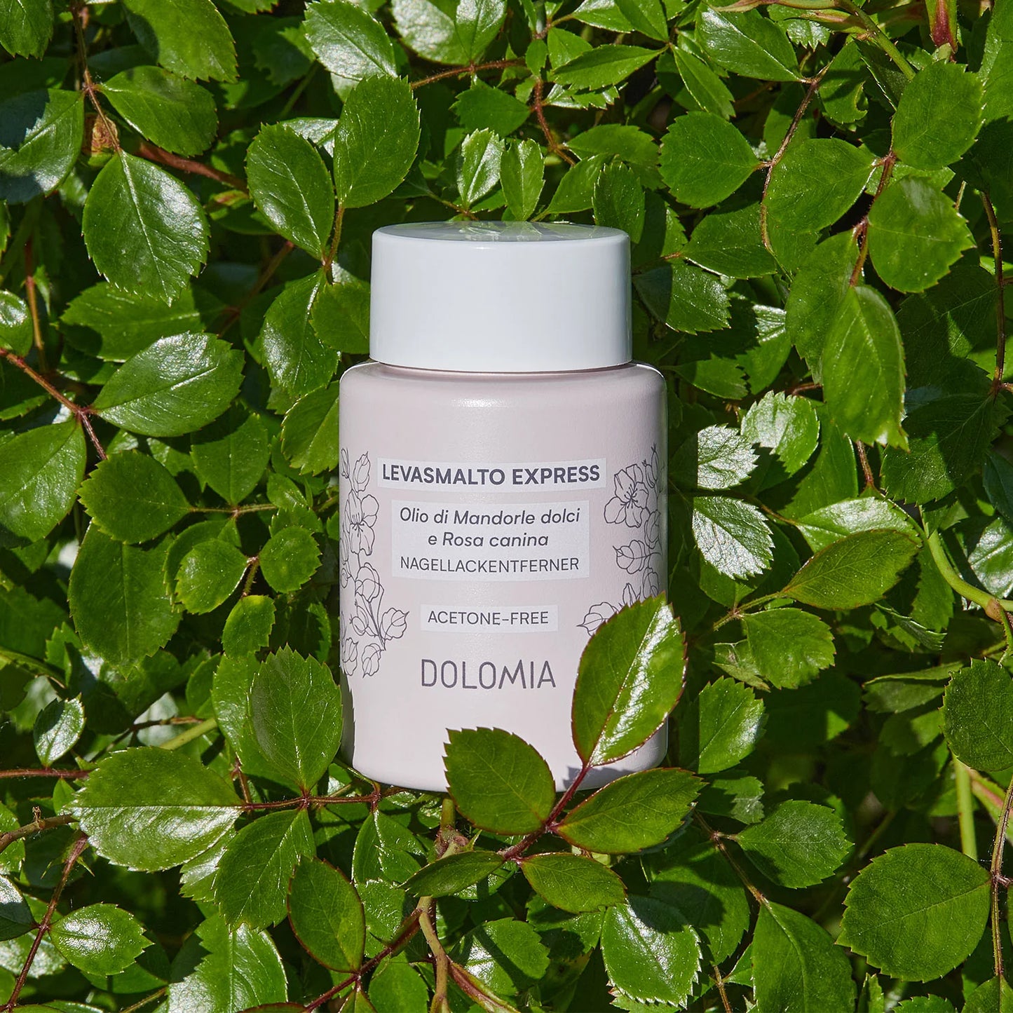 Eine Flasche Express Nagellackentferner ruht zwischen glänzenden grünen Blättern. Das Etikett hebt diese acetonfreie Nagelpflege hervor, die mit Süßmandelöl und Hagebutte angereichert ist.