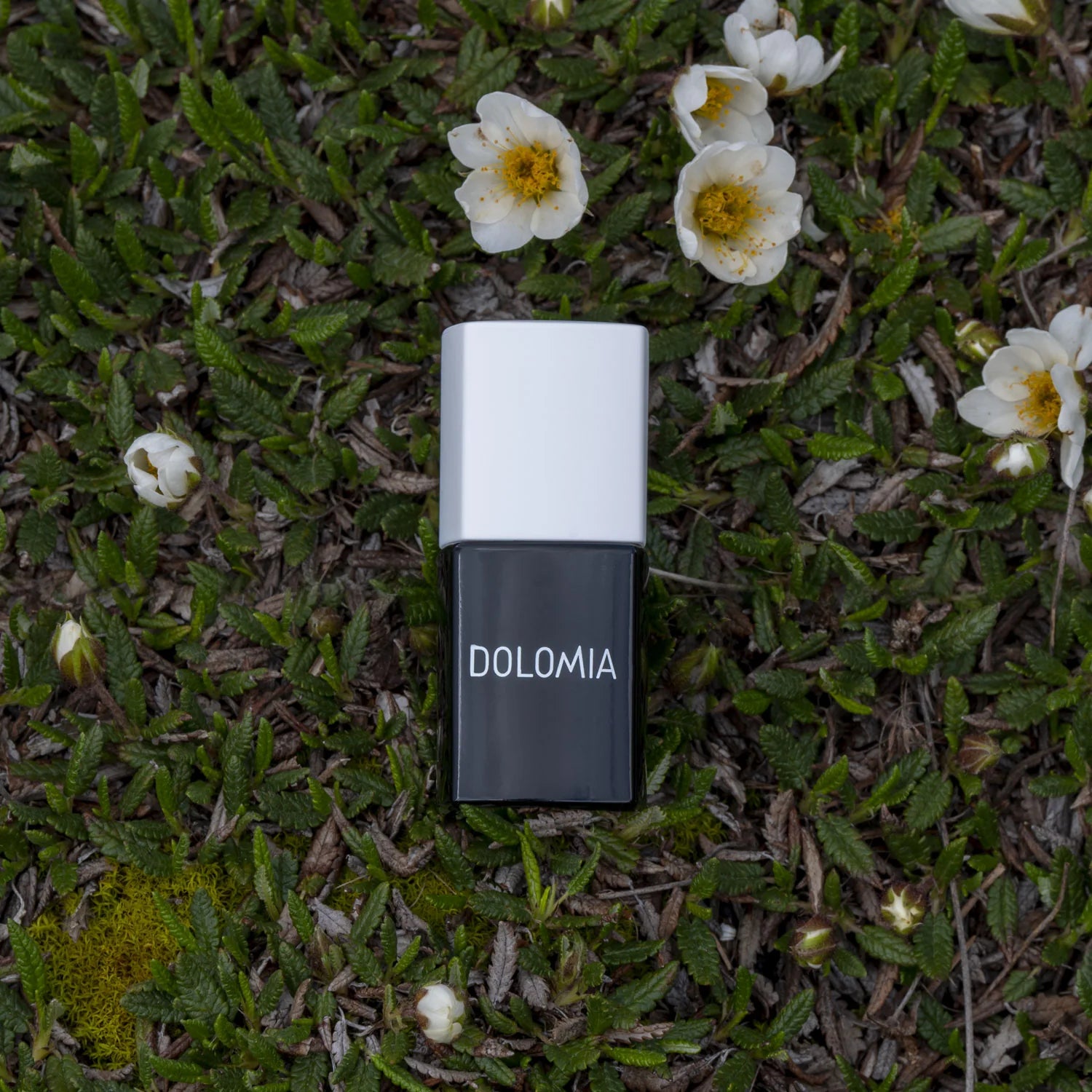 Eine schwarz-weiße Flasche mit der Aufschrift DOLOMIA Top Coat UV steht auf grünem Gras, das mit kleinen weißen Blumen übersät ist.