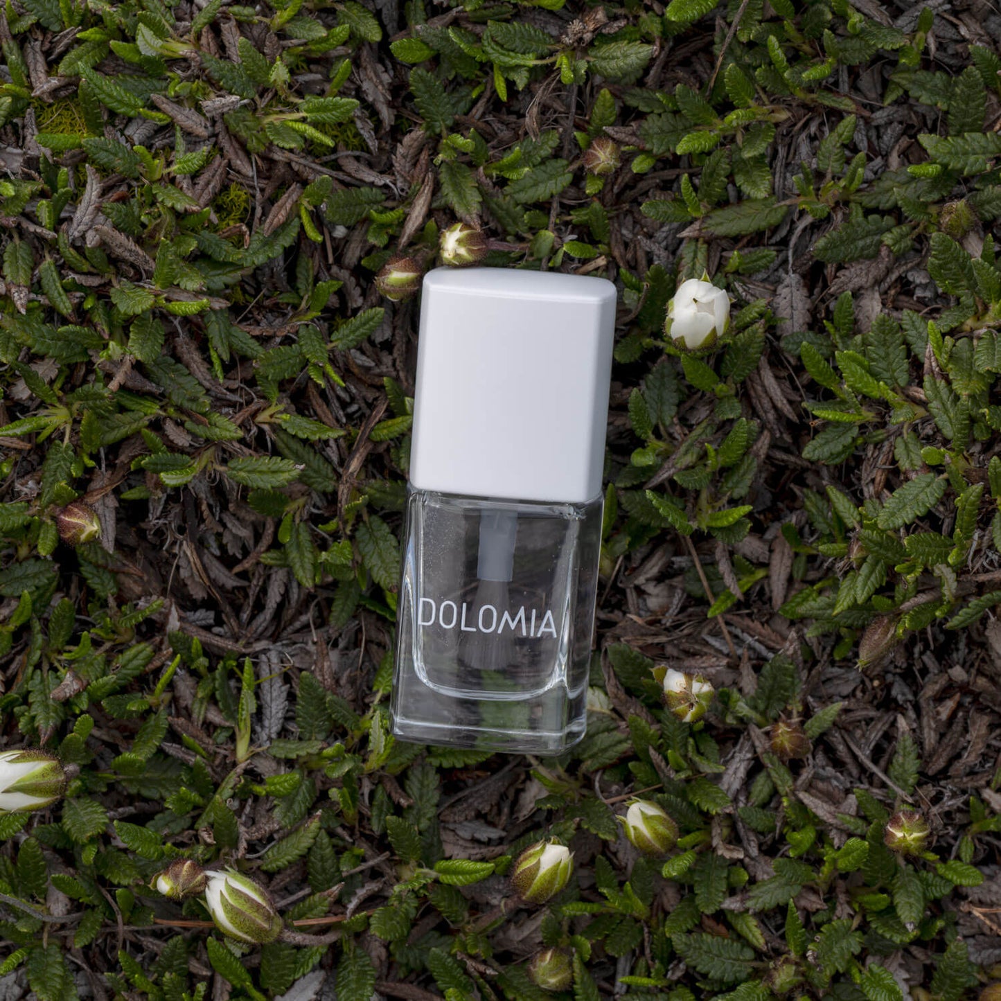 Eine Klarglasflasche mit der Aufschrift Repair SOS-Nagellackbasis und einem weißen Deckel ruht auf grünem Blattgrund und suggeriert natürliche Pflege für brüchige Nägel zwischen verstreuten kleinen weißen Knospen.