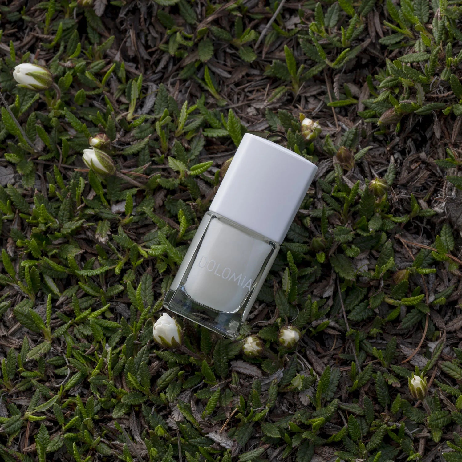 Eine Glasflasche Stärkende Nagellackbasis mit weißem Verschluss ruht auf grünen Blättern zwischen kleinen weißen Knospen - ideal für brüchige Nägel.