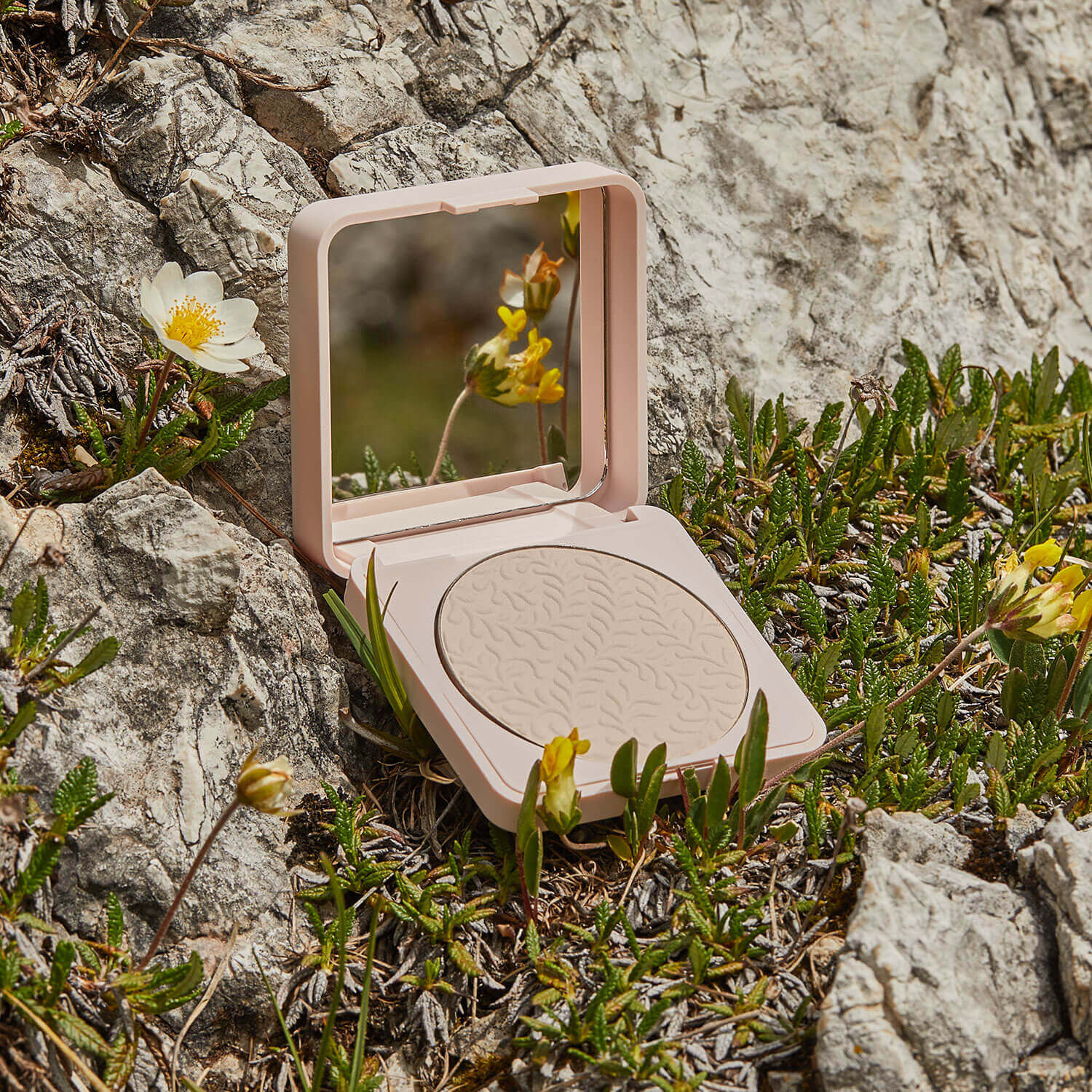 Mattierender Puder mit geprägtem Blattmuster liegt offen auf felsigem Grund zwischen gelben und weißen Wildblumen und grünem Gras - ideal für einen matten Teint.