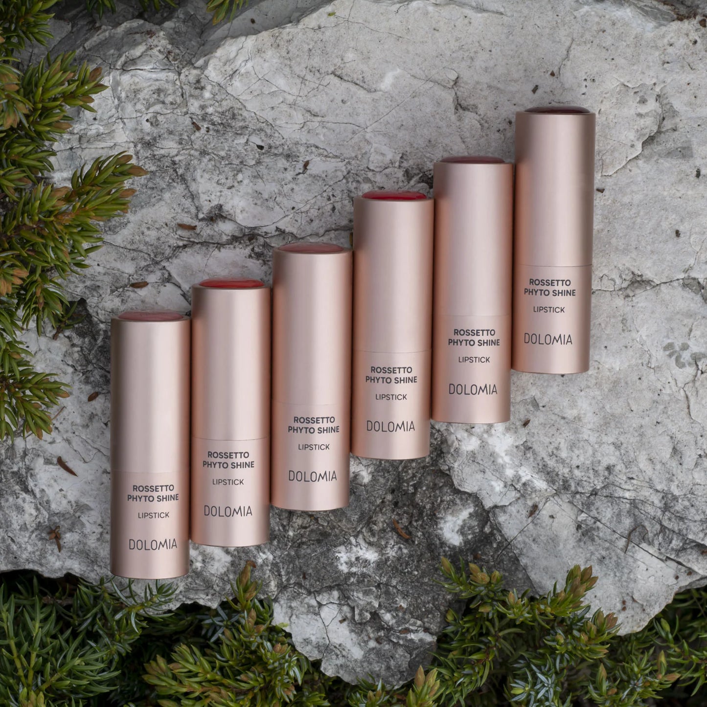 Lippenstift Phyto Shine (6 Farbvarianten)