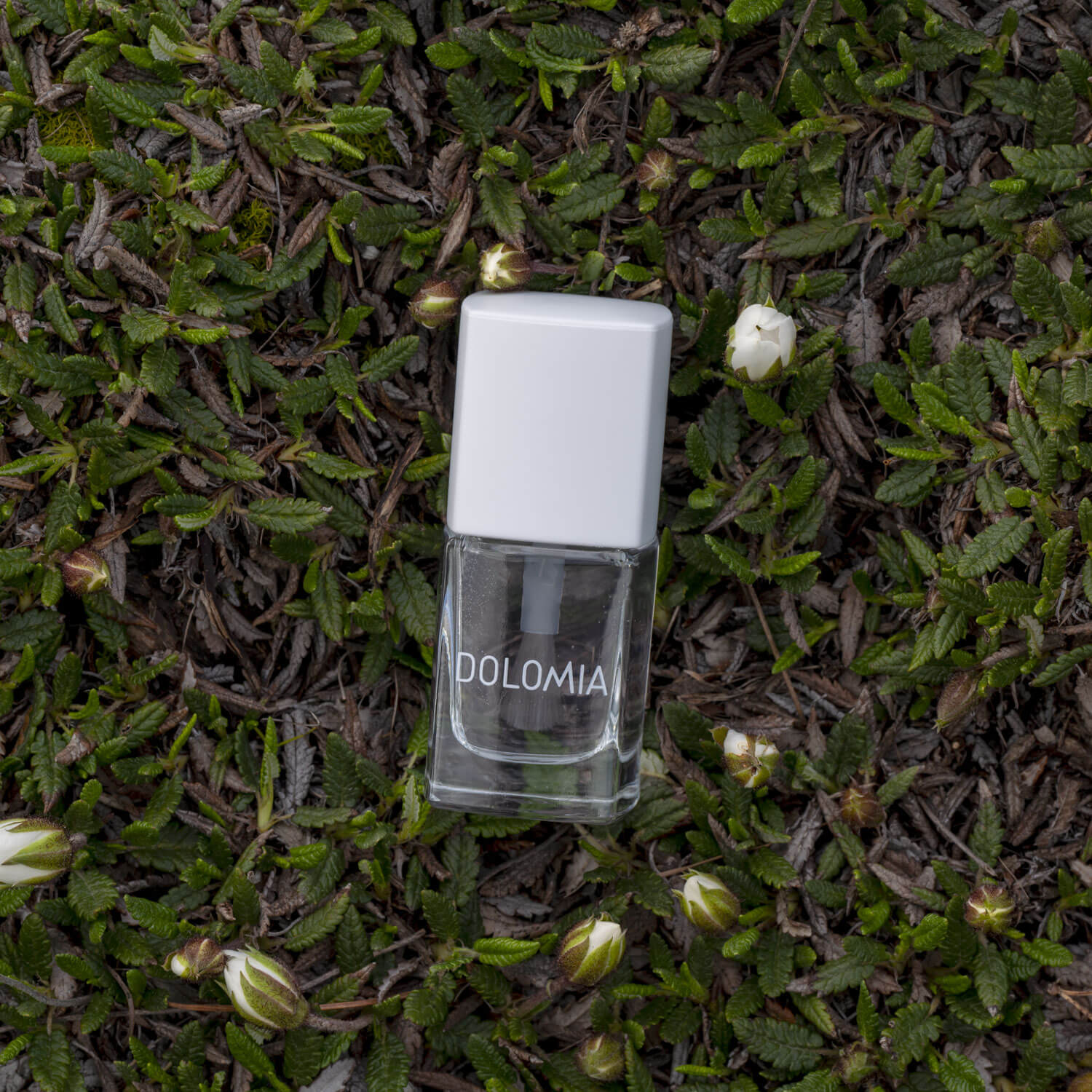 Eine Klarglasflasche mit der Aufschrift Repair SOS-Nagellackbasis und einem weißen Deckel ruht auf grünem Blattgrund und suggeriert natürliche Pflege für brüchige Nägel zwischen verstreuten kleinen weißen Knospen.