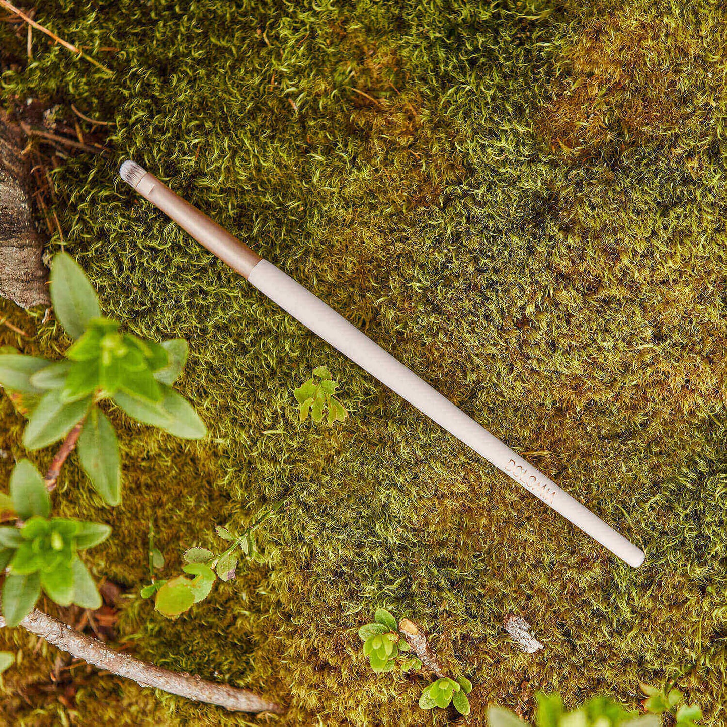 Der Augenpinsel mit beigefarbenem Griff ruht auf grünem Moos zwischen Blattpflanzen - ideal für präzises Verblenden oder als unverzichtbarer Augenpinsel in Ihrer Beauty-Routine.